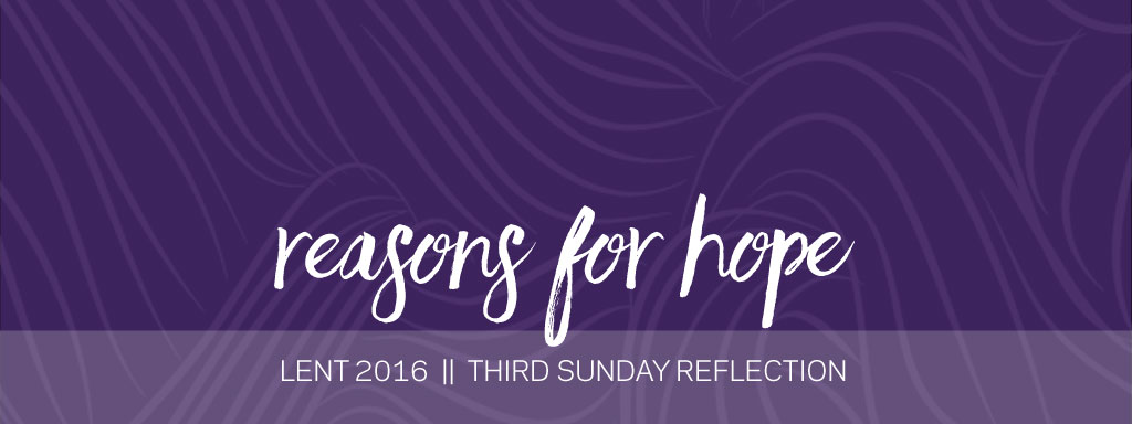 25c3a80b-9e40-4fff-8006-23ff8e1d540e