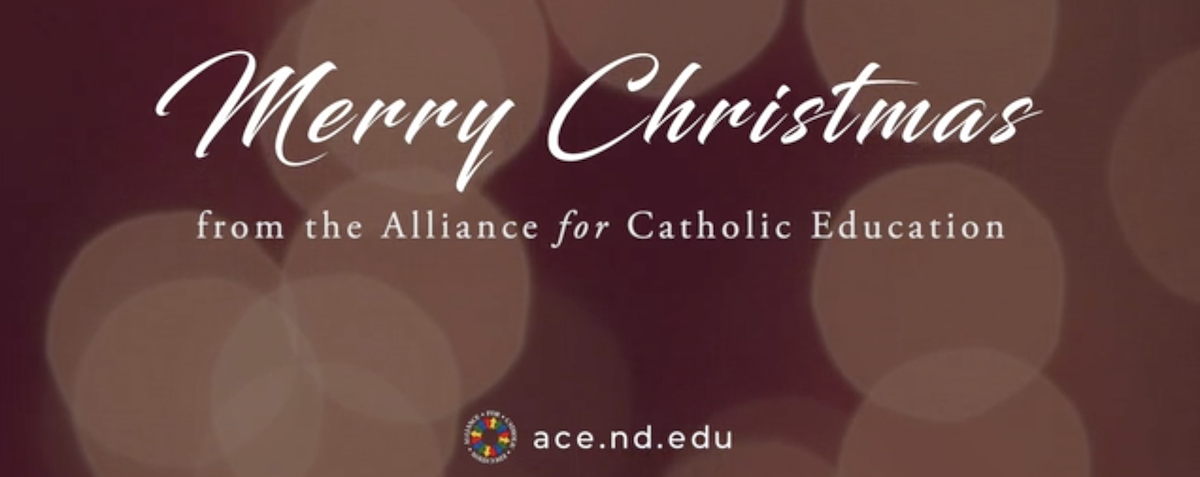 2e5cc3e0-9db1-49c0-800e-8786a9136273