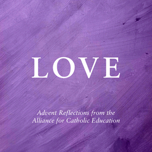 575a23cc-89c0-4337-b697-0083ea944511