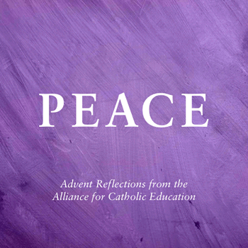 6ebf0ce6-136c-43a9-9e90-84e8ea8215e3