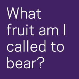 7778bc63-8f5e-49ac-bb41-f204ee13845b