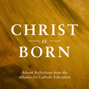 962585cb-2ce0-4c94-81e6-aa497ed6ea78