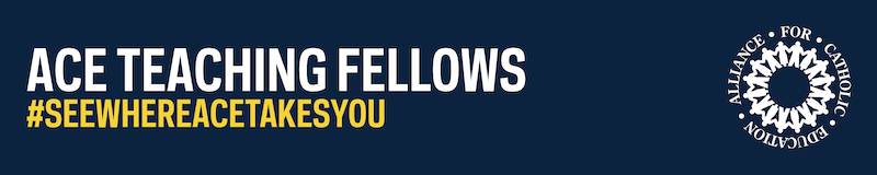 ACE Teaching Fellows header