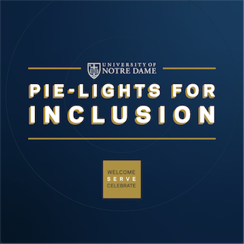 PIE-lights for Inclusion graphic