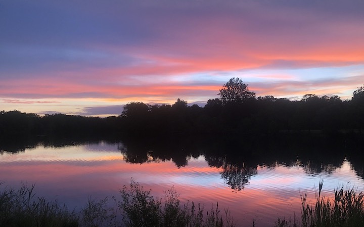 ACE Summer 2021 Recap