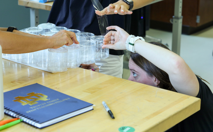 STEM Trustey Fellows Summer Institute