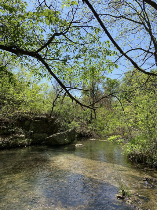 Mineral Springs at the Chickasaw National Recreation Area