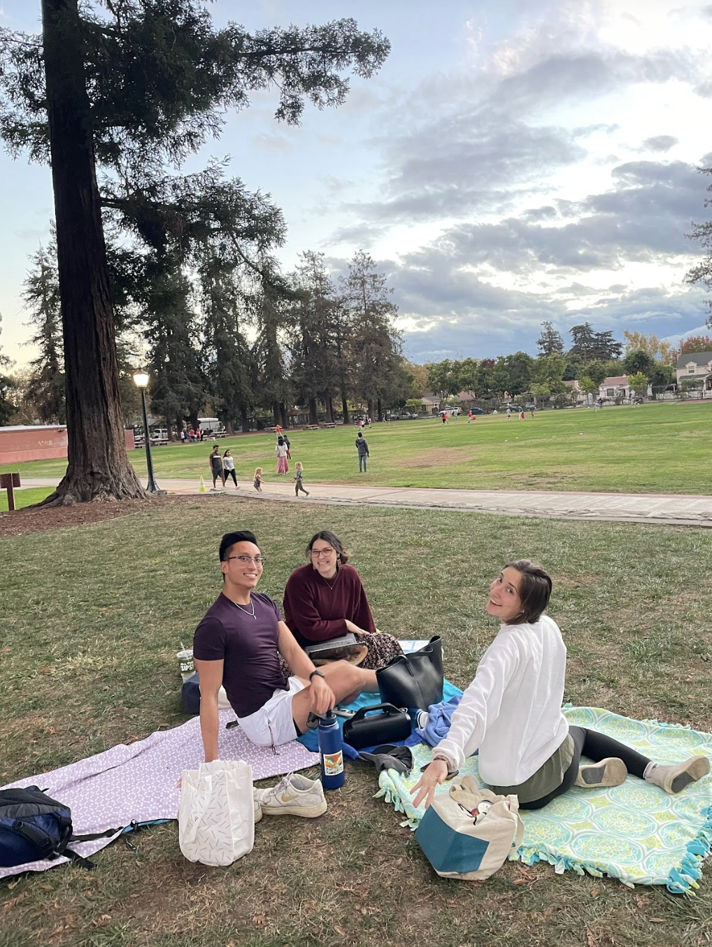 Image of Matt Nguyen, Audrey Banner, and Grace Scartz sitting on blankets at a park in San Jose