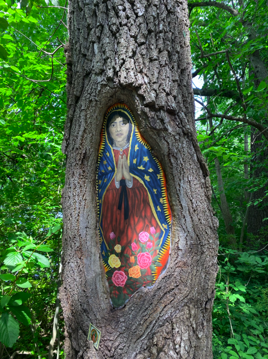 Image of the painting of Our Lady of Guadalupe in the tree trunk on campus at Notre Dame