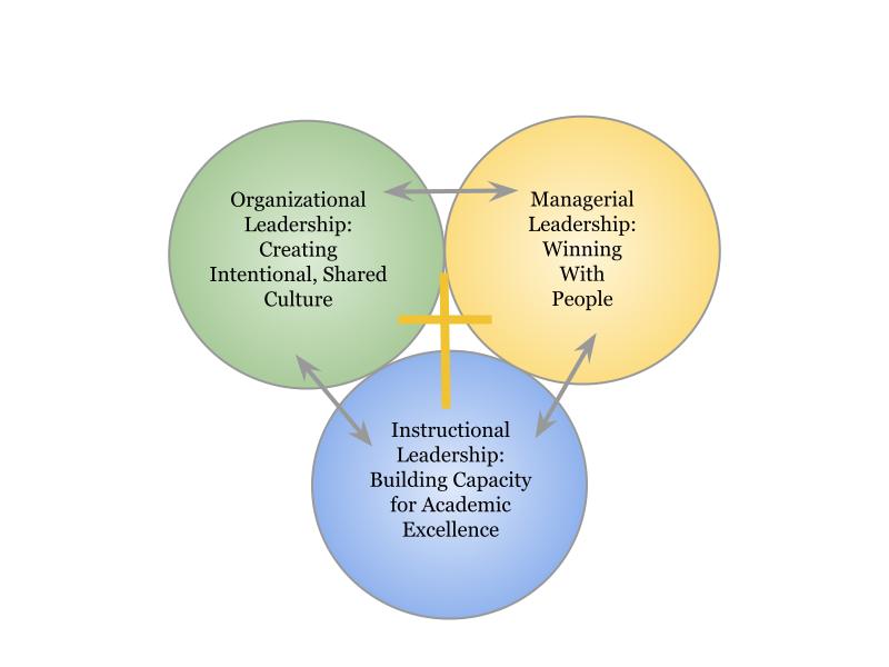 APA Conceptual Framework