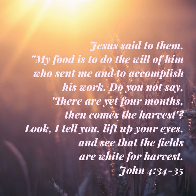 John 4:34-35