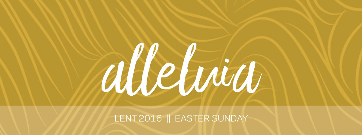 c709bdca-00e6-4e68-b2f0-38db1a484679