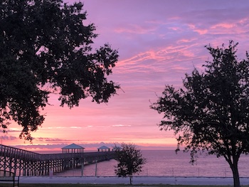 erichhofferrlpspotlight6