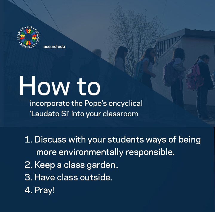 how-to-incorporate-laudato-si-1