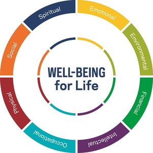 Wellbeing for Life Wellness Wheel