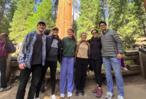 ACE Los Angeles in Sequoia National Park