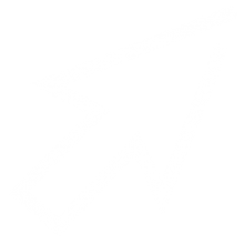 Prospective ACE Teachers arrow icon